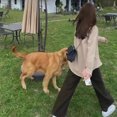 感谢生命中有个你